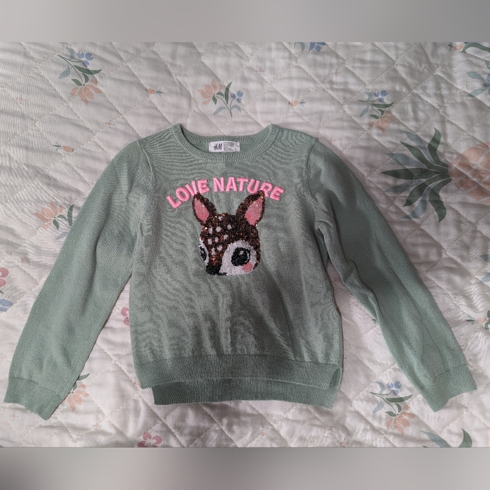 H&M Childrens Sweater Size 5t